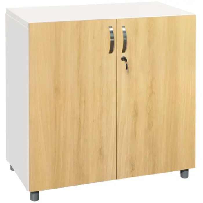 Tủ sắt cánh gỗ TSG02-2